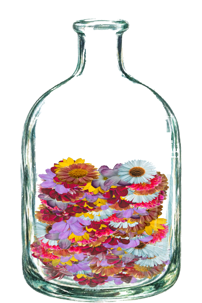 A glass jar filled with flowers